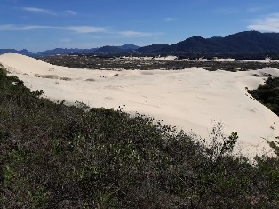 Dunas da Joaquina vistas sem pessoas, em recorte da fotografia enviada e leve tratamento cinematográfico de cor